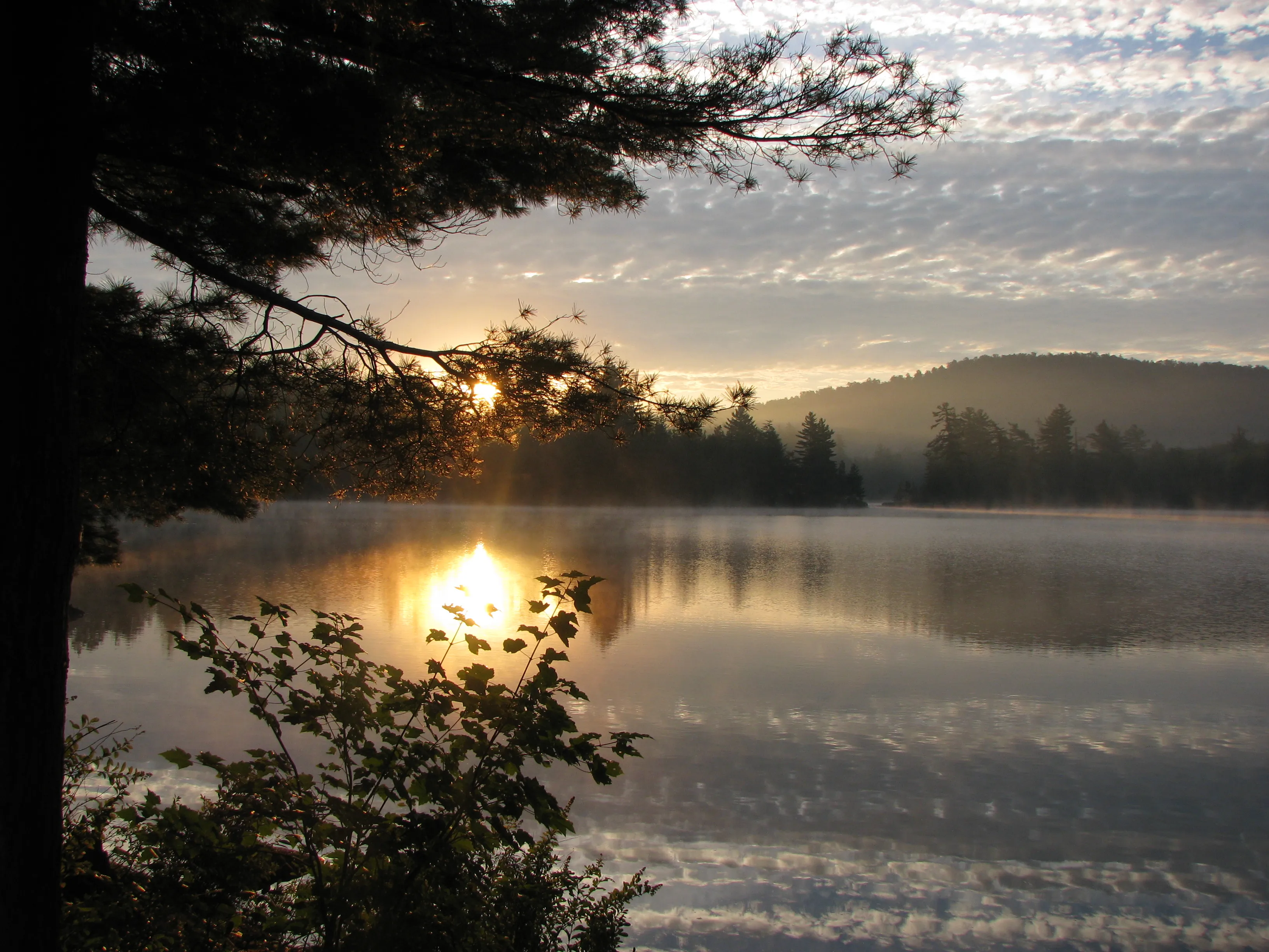Cranberry Lake at Black Duck Hole, near Wanakena, NY — a calm Adirondack lake bordered by pines.
