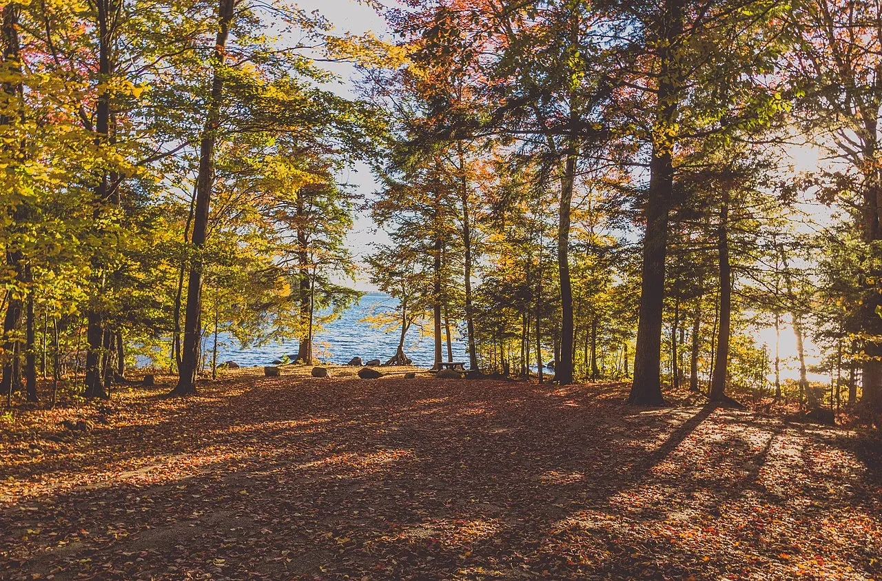 Cranberry Lake Campground in autumn — still water and fall colors at the day-use area.