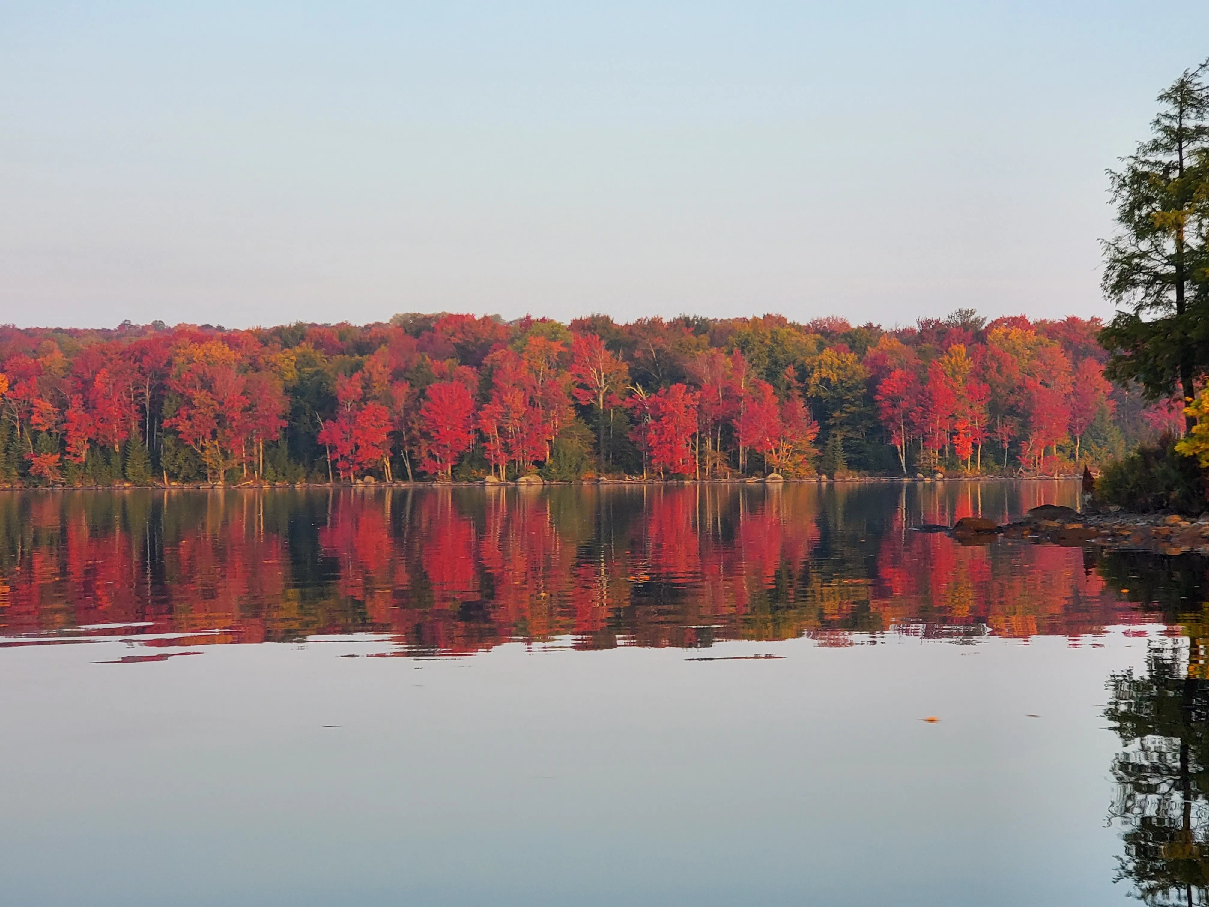 Brilliant red maples in peak fall color along the far shore of Cranberry Lake, mirrored in the still surface of the water.